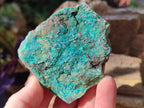 Natural Cobbed Shattuckite Specimens x 24 From Kaokoveld, Namibia - Toprock Gemstones and Minerals 