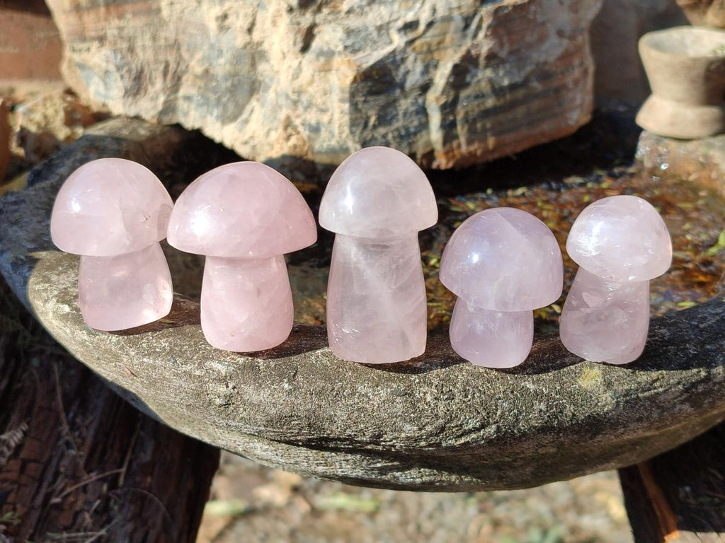 Polished Gemmy Rose Quartz Mushrooms x 35 From Madagascar - Toprock Gemstones and Minerals 