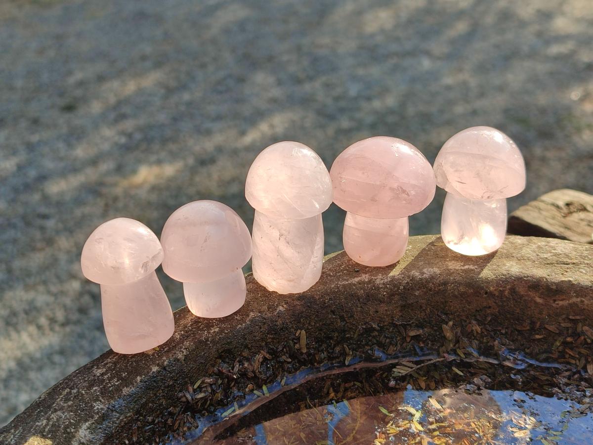 Polished Gemmy Rose Quartz Mushrooms x 35 From Madagascar - Toprock Gemstones and Minerals 