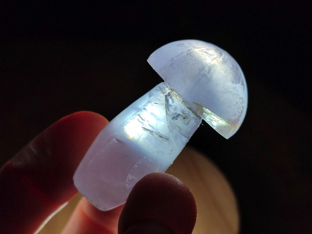 Polished Gemmy Rose Quartz Mushrooms x 35 From Madagascar - Toprock Gemstones and Minerals 