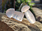 Polished Gemmy Rose Quartz Mushrooms x 35 From Madagascar - Toprock Gemstones and Minerals 