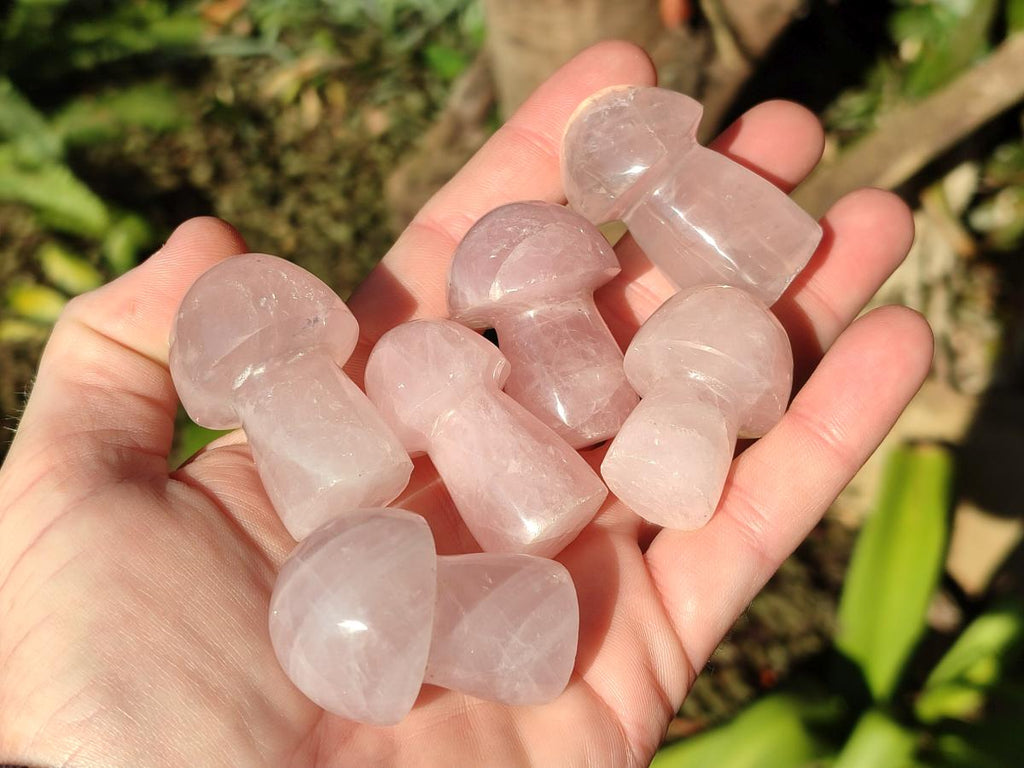 Polished Gemmy Rose Quartz Mushrooms x 35 From Madagascar - Toprock Gemstones and Minerals 