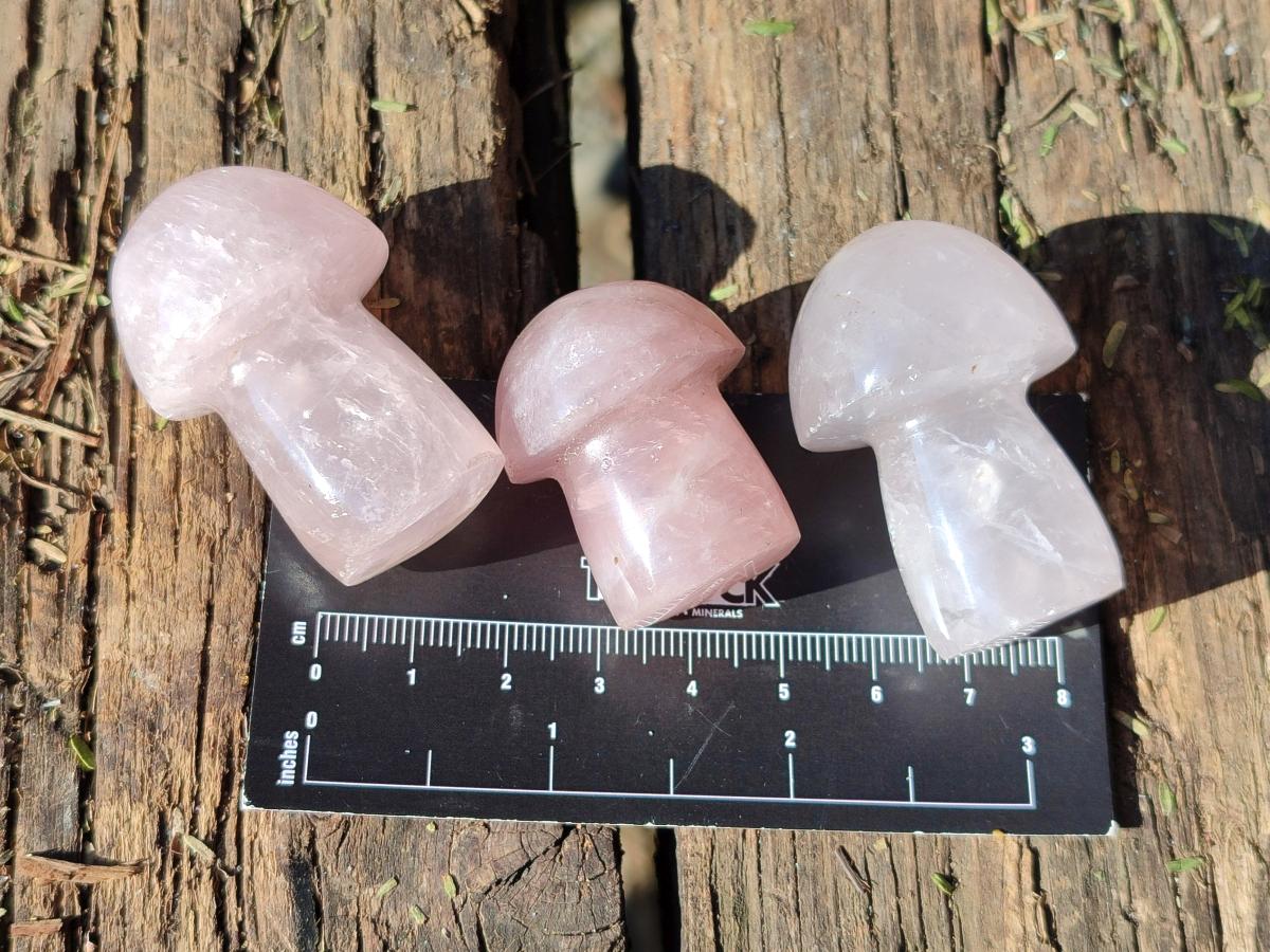Polished Gemmy Rose Quartz Mushrooms x 35 From Madagascar - Toprock Gemstones and Minerals 