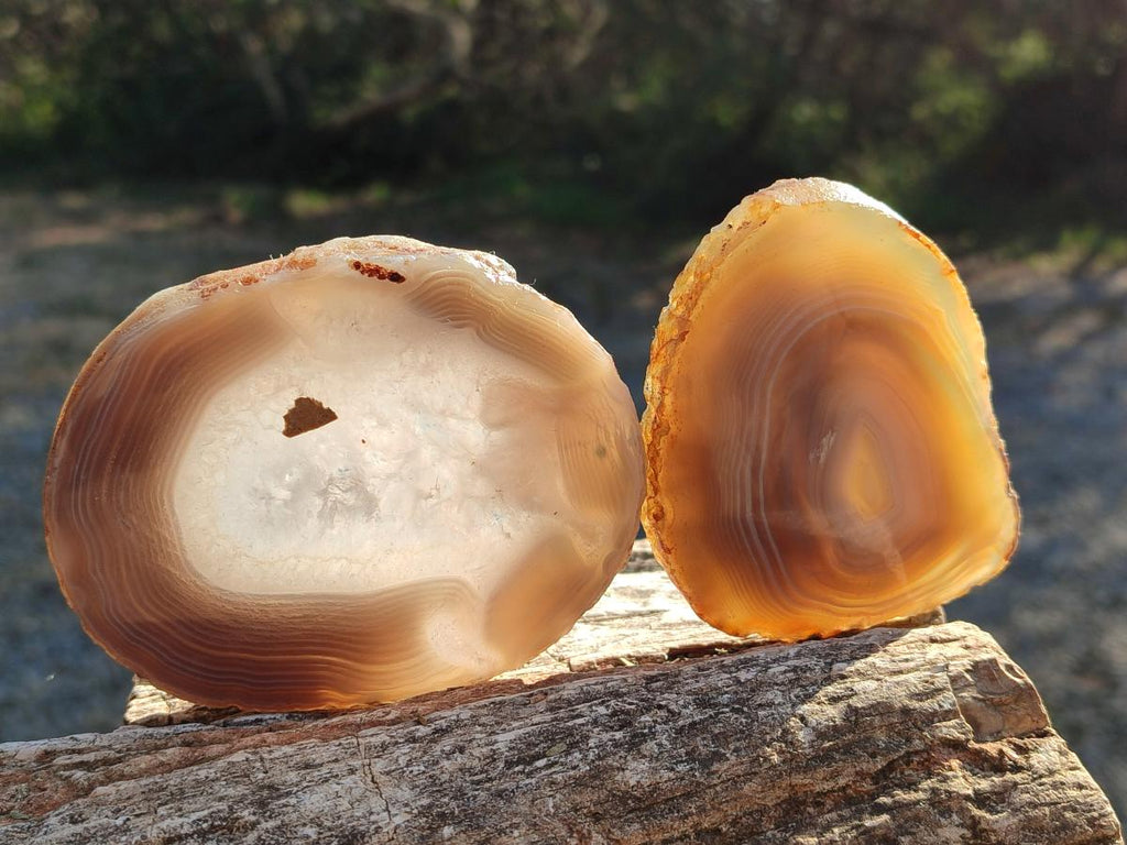 Polished Banded Agate Slices with Natural Edging x 6 From Madagascar - Toprock Gemstones and Minerals 