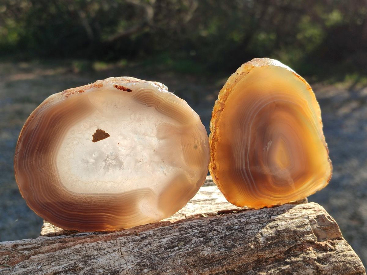 Polished Banded Agate Slices with Natural Edging x 6 From Madagascar - Toprock Gemstones and Minerals 