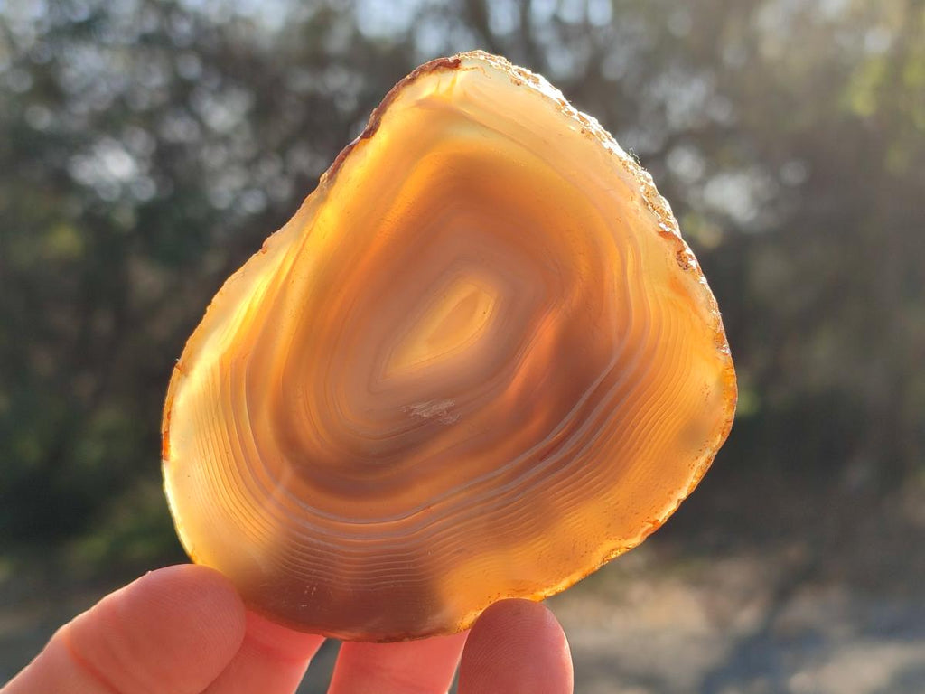 Polished Banded Agate Slices with Natural Edging x 6 From Madagascar - Toprock Gemstones and Minerals 