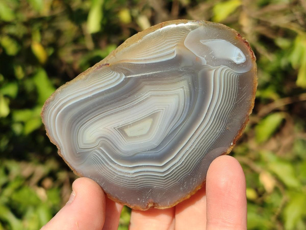 Polished Banded Agate Slices with Natural Edging x 6 From Madagascar - Toprock Gemstones and Minerals 