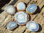 Polished Banded Agate Slices with Natural Edging x 6 From Madagascar - Toprock Gemstones and Minerals 