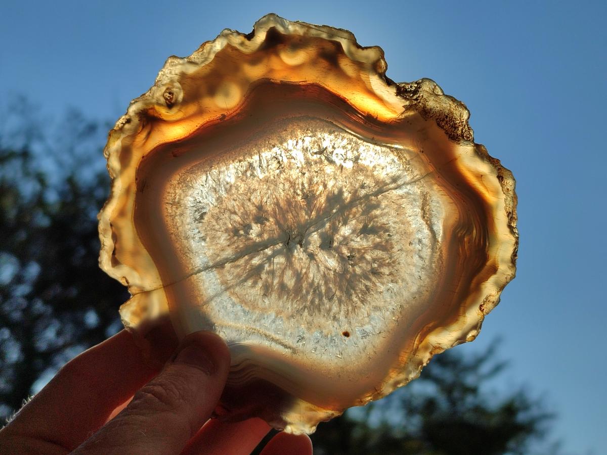 Polished Banded Agate Slices with Natural Edging x 6 From Madagascar - Toprock Gemstones and Minerals 