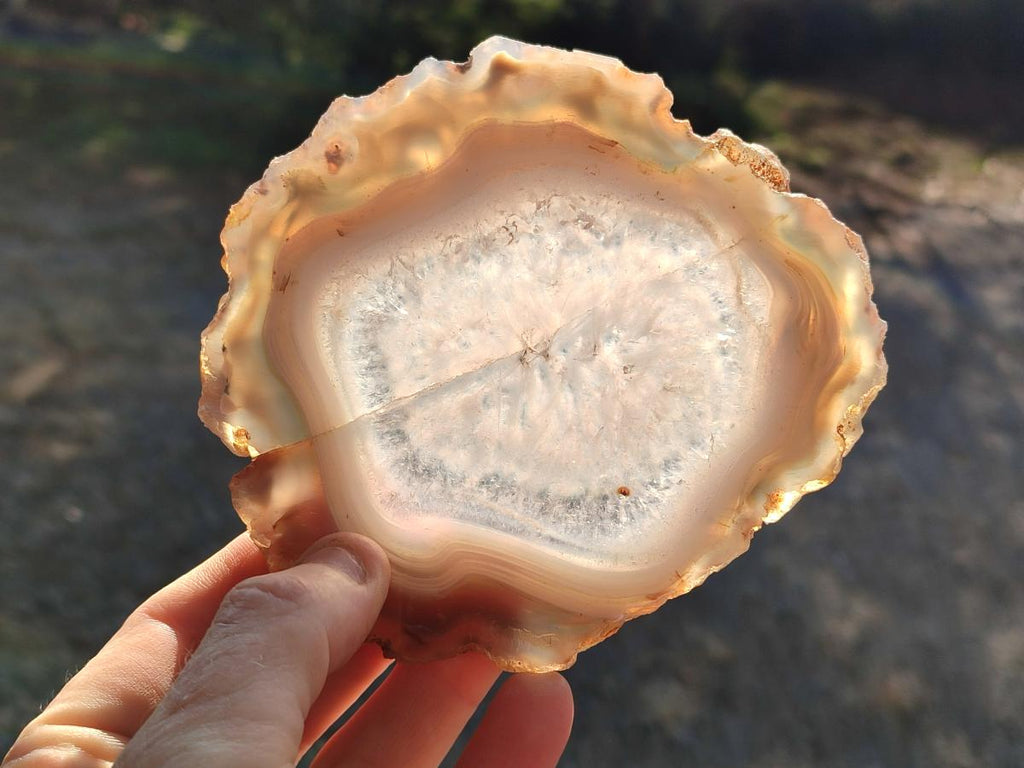Polished Banded Agate Slices with Natural Edging x 6 From Madagascar - Toprock Gemstones and Minerals 