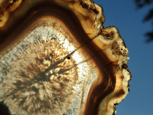 Polished Banded Agate Slices with Natural Edging x 6 From Madagascar - Toprock Gemstones and Minerals 