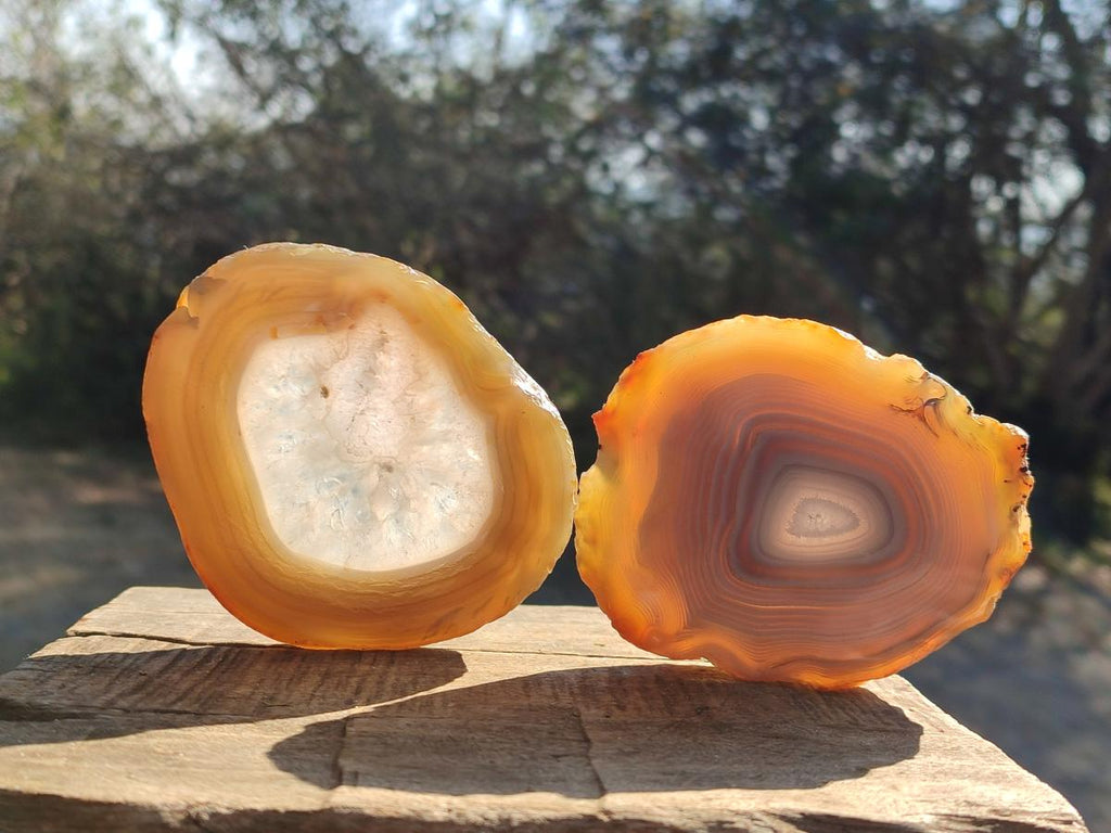 Polished Banded Agate Slices with Natural Edging x 6 From Madagascar - Toprock Gemstones and Minerals 