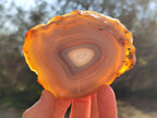 Polished Banded Agate Slices with Natural Edging x 6 From Madagascar - Toprock Gemstones and Minerals 