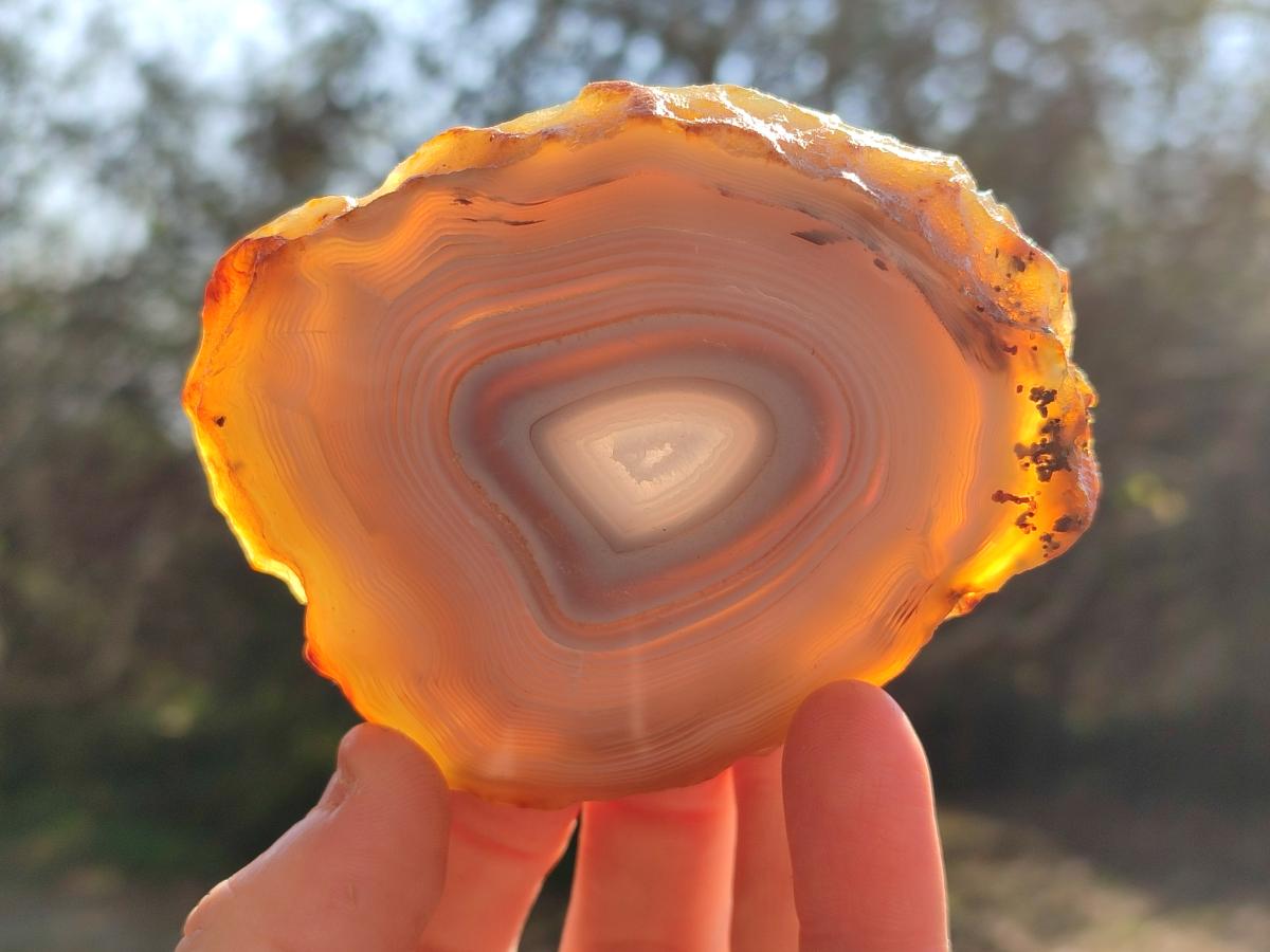Polished Banded Agate Slices with Natural Edging x 6 From Madagascar - Toprock Gemstones and Minerals 