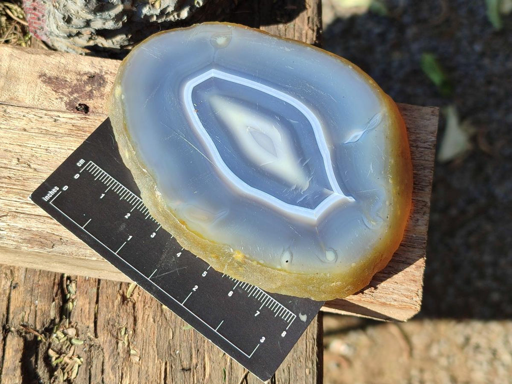 Polished Banded Agate Slices with Natural Edging x 6 From Madagascar - Toprock Gemstones and Minerals 