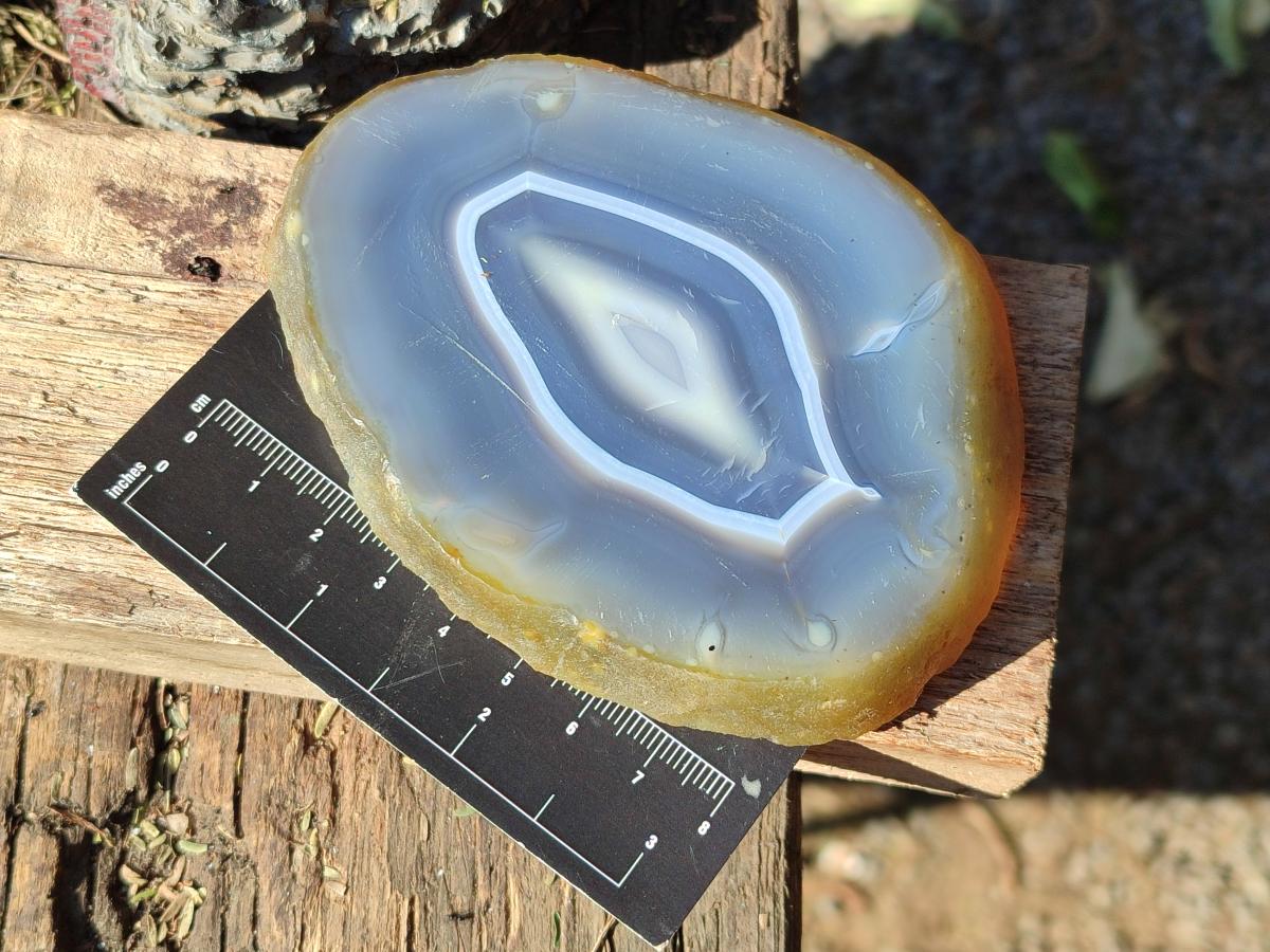 Polished Banded Agate Slices with Natural Edging x 6 From Madagascar - Toprock Gemstones and Minerals 