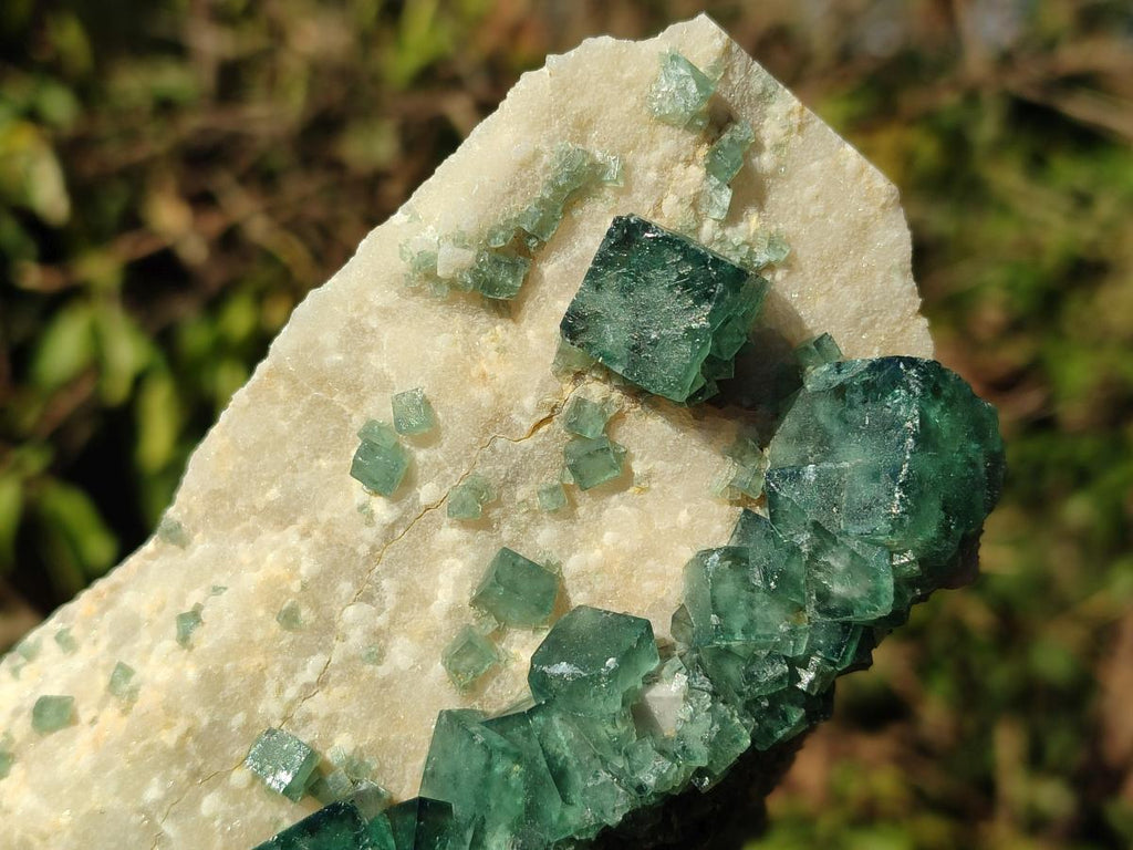 Natural Large Green Cubic Fluorite Specimen x 1 From Mandrosonoro, Madagascar - Toprock Gemstones and Minerals 