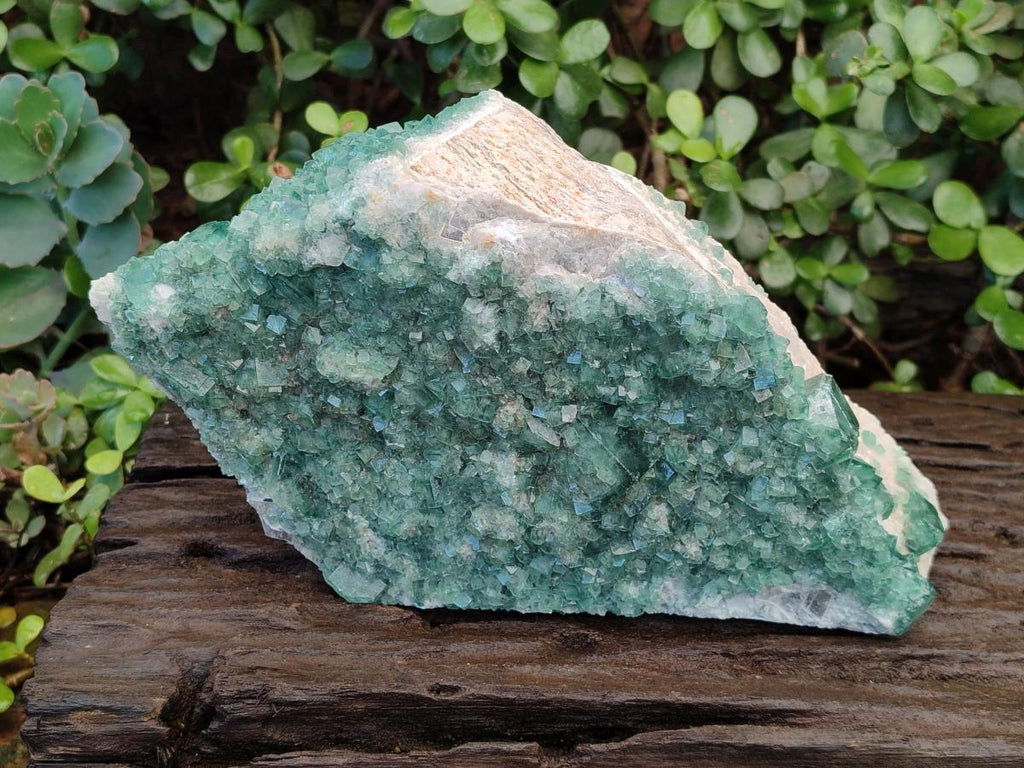 Natural Large Green Cubic Fluorite Specimen x 1 From Mandrosonoro, Madagascar - Toprock Gemstones and Minerals 