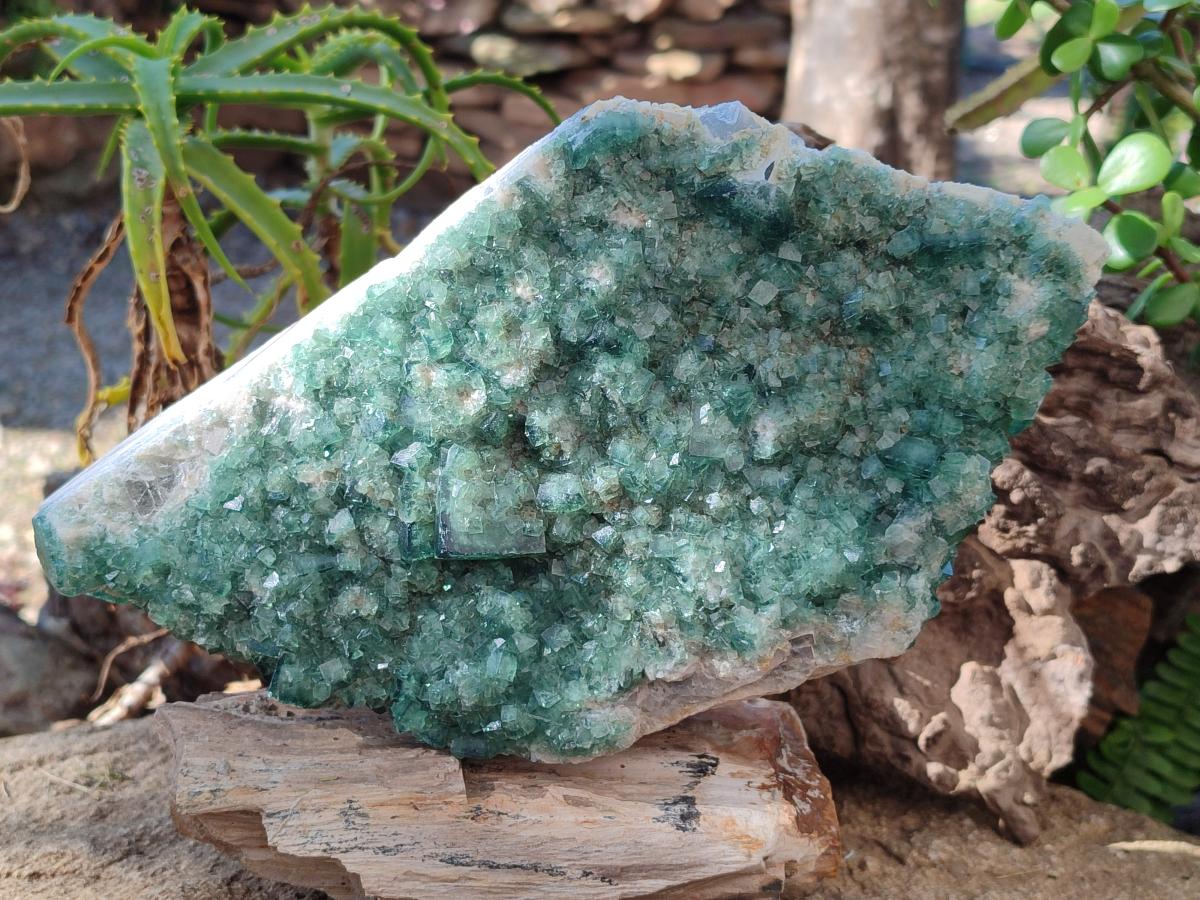 Natural Large Green Cubic Fluorite Specimen x 1 From Mandrosonoro, Madagascar - Toprock Gemstones and Minerals 