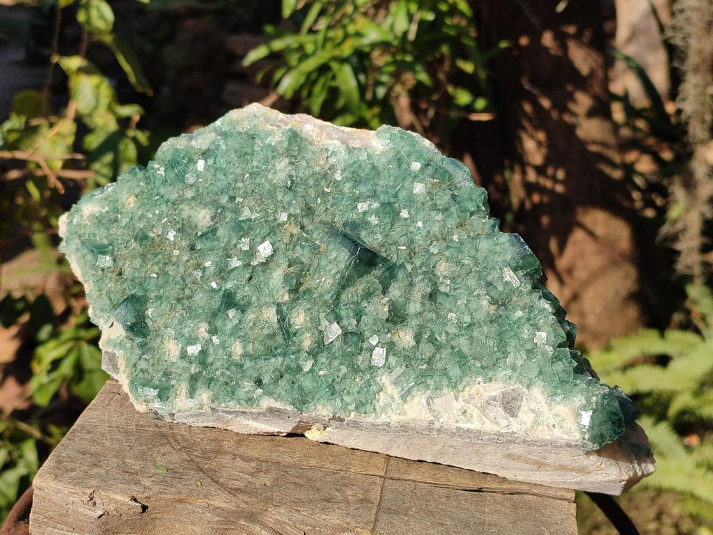 Natural Large Green Cubic Fluorite Specimen x 1 From Mandrosonoro, Madagascar - Toprock Gemstones and Minerals 
