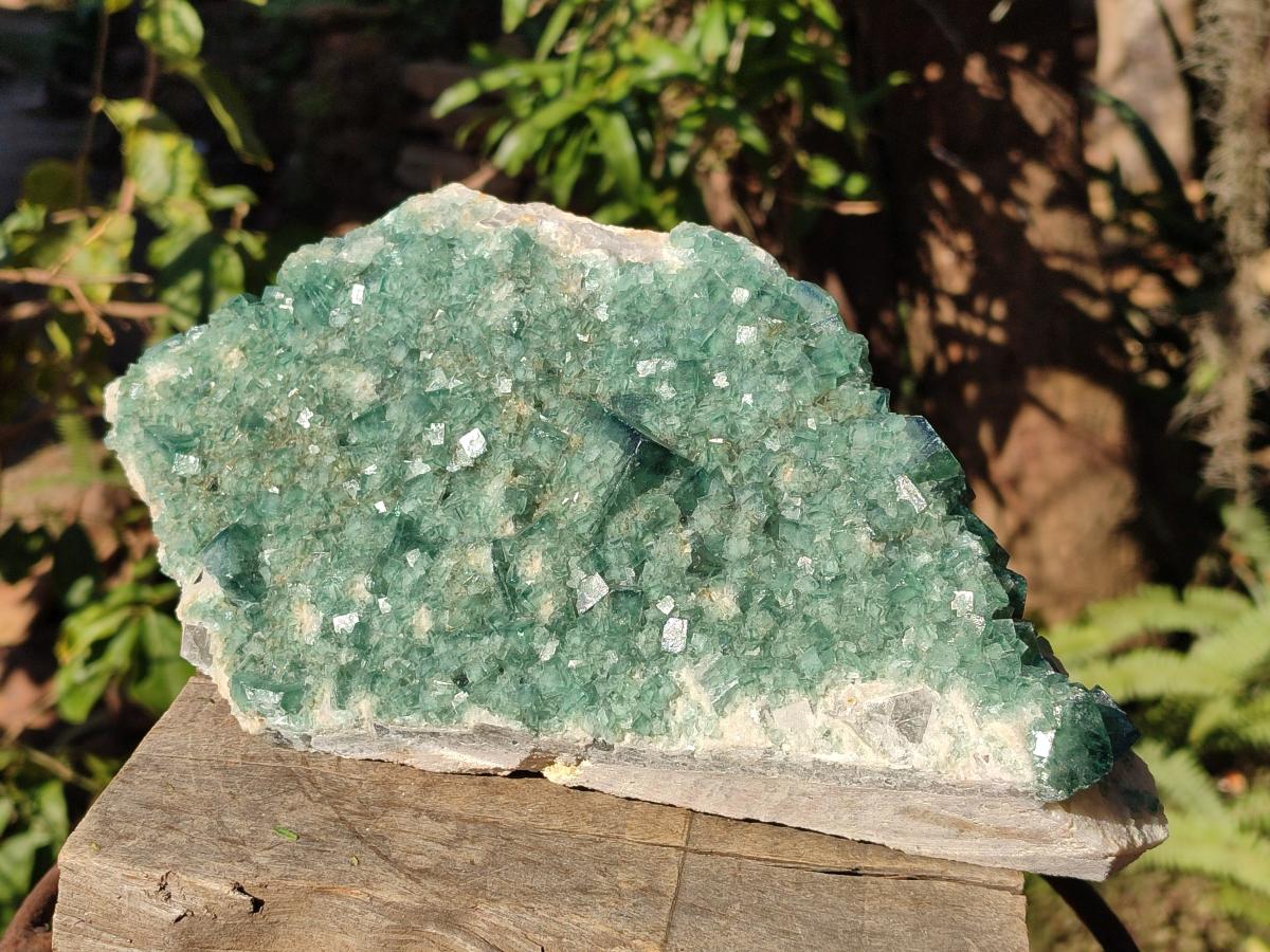 Natural Large Green Cubic Fluorite Specimen x 1 From Mandrosonoro, Madagascar - Toprock Gemstones and Minerals 