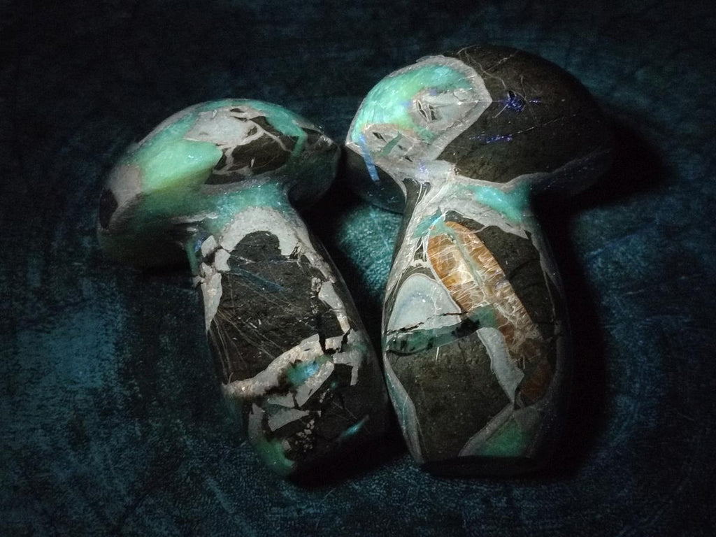Polished Septerye Mushrooms x 6 From Mahajanga, Madagascar - Toprock Gemstones and Minerals 