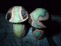 Polished Septerye Mushrooms x 6 From Mahajanga, Madagascar - Toprock Gemstones and Minerals 
