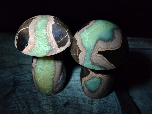 Polished Septerye Mushrooms x 6 From Mahajanga, Madagascar - Toprock Gemstones and Minerals 