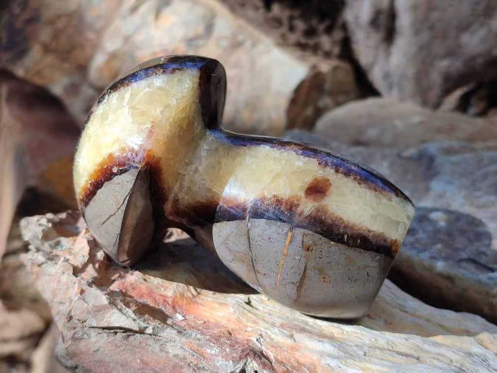 Polished Septerye Mushrooms x 6 From Mahajanga, Madagascar - Toprock Gemstones and Minerals 