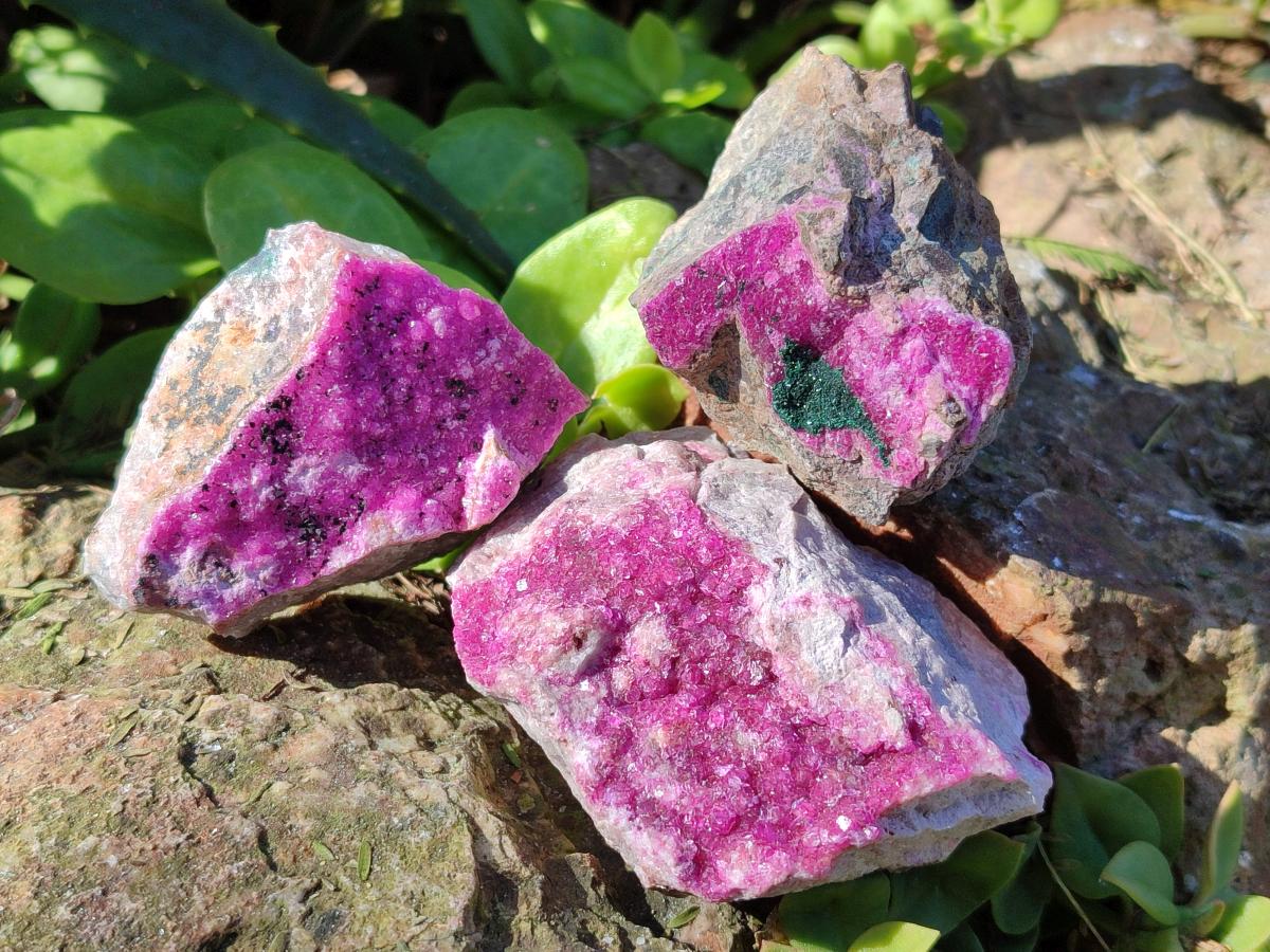 Natural Salrose Cobaltoan Dolomite Specimens x 12 From Kakanda, Congo - Toprock Gemstones and Minerals 