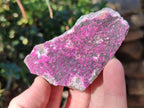 Natural Salrose Cobaltoan Dolomite Specimens x 12 From Kakanda, Congo - Toprock Gemstones and Minerals 
