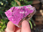 Natural Salrose Cobaltoan Dolomite Specimens x 12 From Kakanda, Congo - Toprock Gemstones and Minerals 