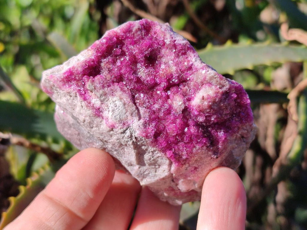 Natural Salrose Cobaltoan Dolomite Specimens x 12 From Kakanda, Congo - Toprock Gemstones and Minerals 