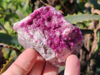 Natural Salrose Cobaltoan Dolomite Specimens x 12 From Kakanda, Congo - Toprock Gemstones and Minerals 