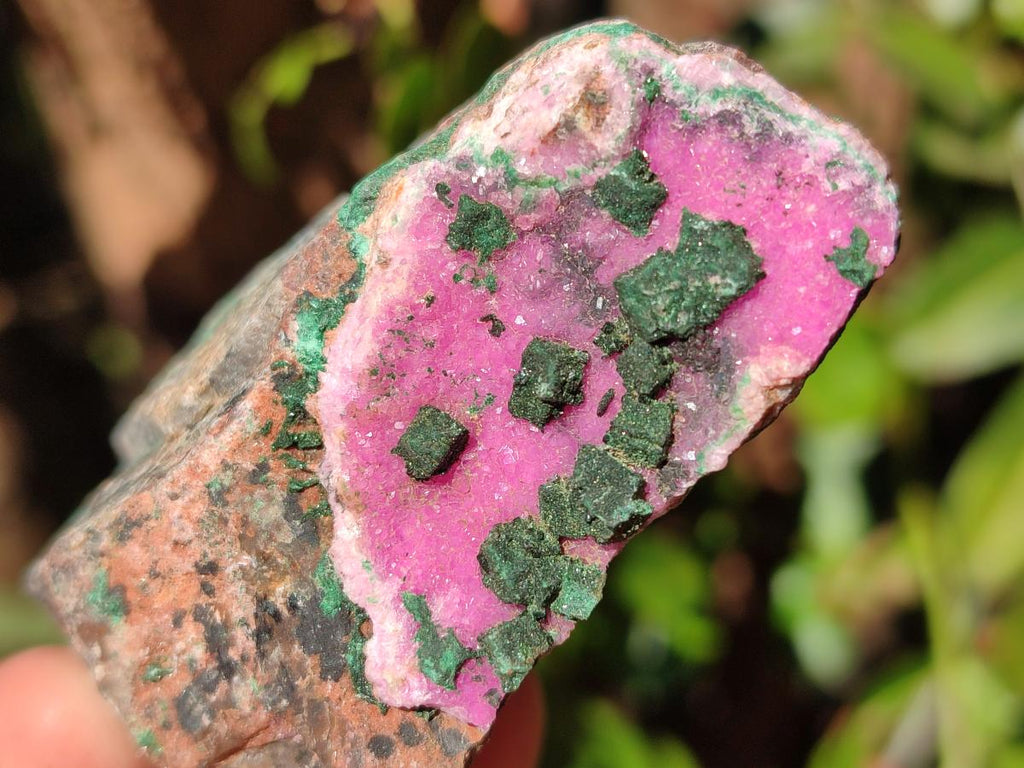 Natural Salrose Cobaltoan Dolomite Specimens x 12 From Kakanda, Congo - Toprock Gemstones and Minerals 