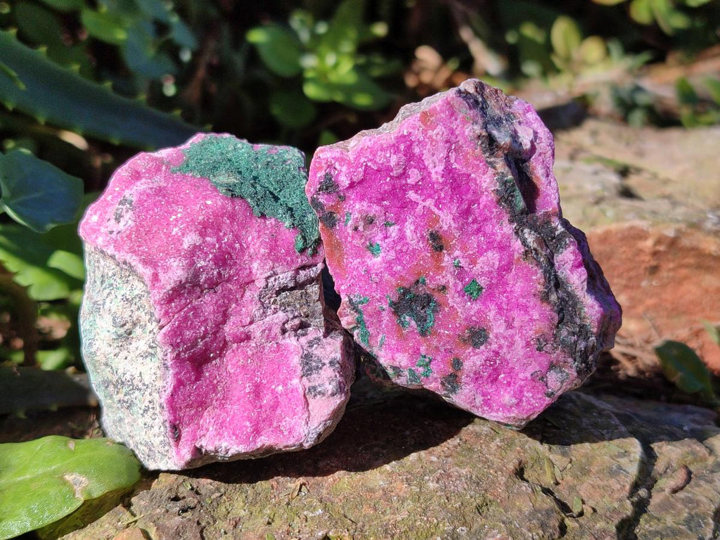 Natural Salrose Cobaltoan Dolomite Specimens x 12 From Kakanda, Congo - Toprock Gemstones and Minerals 