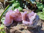 Natural Spirit Amethyst and Spirit Ametrine Clusters x 16 From Boekenhouthoek, South Africa - Toprock Gemstones and Minerals 