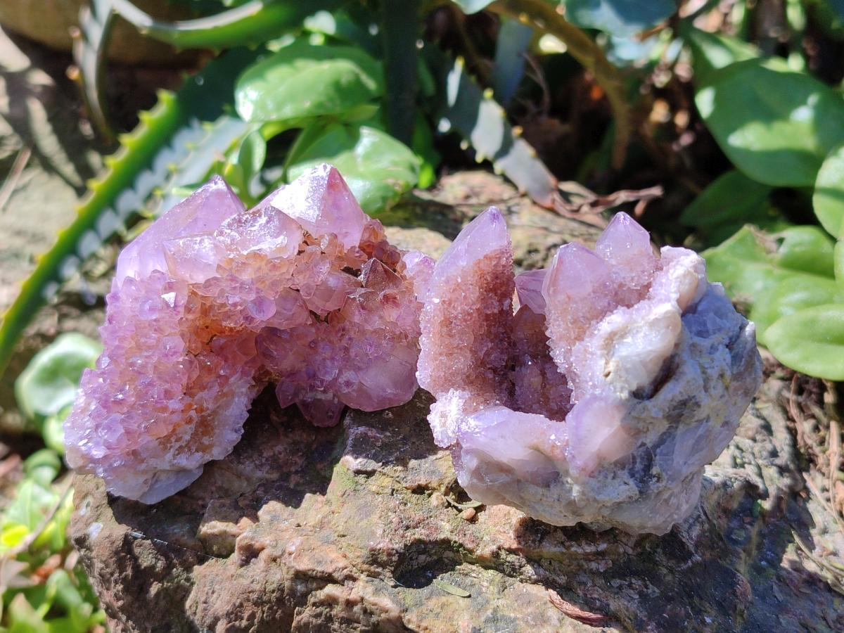 Natural Spirit Amethyst and Spirit Ametrine Clusters x 16 From Boekenhouthoek, South Africa - Toprock Gemstones and Minerals 