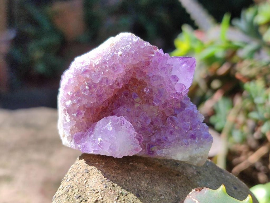 Natural Spirit Amethyst and Spirit Ametrine Clusters x 16 From Boekenhouthoek, South Africa - Toprock Gemstones and Minerals 
