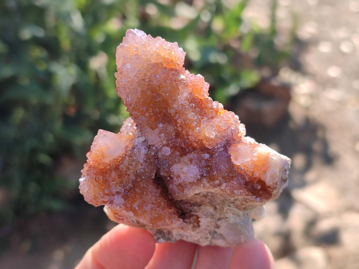 Natural Spirit Amethyst and Spirit Ametrine Clusters x 16 From Boekenhouthoek, South Africa - Toprock Gemstones and Minerals 