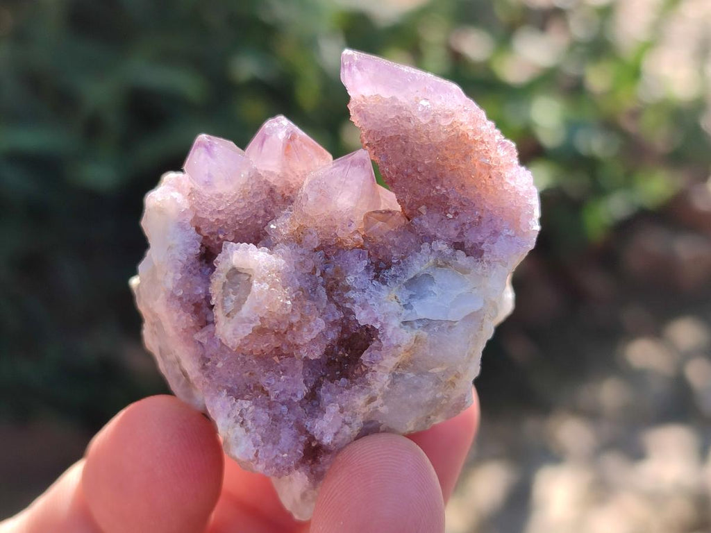 Natural Spirit Amethyst and Spirit Ametrine Clusters x 16 From Boekenhouthoek, South Africa - Toprock Gemstones and Minerals 