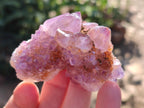Natural Spirit Amethyst and Spirit Ametrine Clusters x 16 From Boekenhouthoek, South Africa - Toprock Gemstones and Minerals 