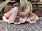 Natural Spirit Amethyst and Spirit Ametrine Clusters x 16 From Boekenhouthoek, South Africa - Toprock Gemstones and Minerals 