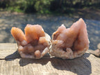 Natural Spirit Amethyst and Spirit Ametrine Clusters x 16 From Boekenhouthoek, South Africa - Toprock Gemstones and Minerals 