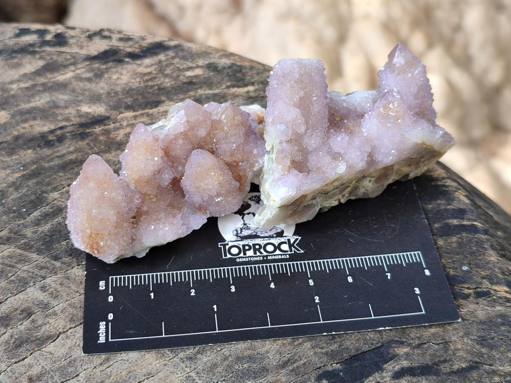 Natural Spirit Amethyst and Spirit Ametrine Clusters x 16 From Boekenhouthoek, South Africa - Toprock Gemstones and Minerals 