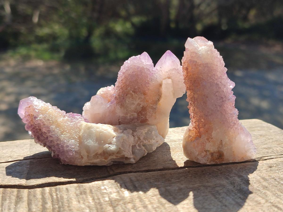 Natural Spirit Amethyst and Spirit Ametrine Clusters x 16 From Boekenhouthoek, South Africa - Toprock Gemstones and Minerals 
