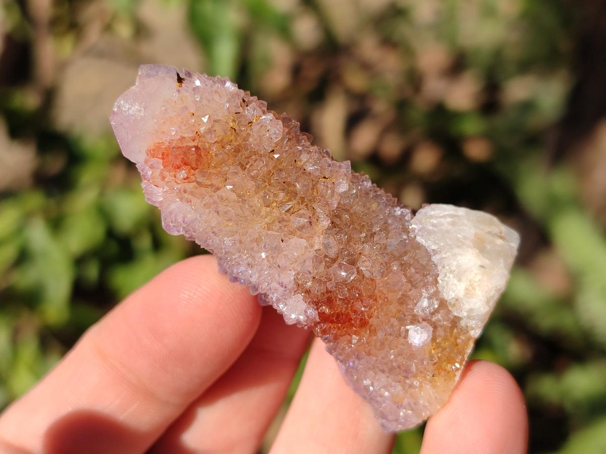 Natural Spirit Amethyst and Spirit Ametrine Clusters x 16 From Boekenhouthoek, South Africa - Toprock Gemstones and Minerals 