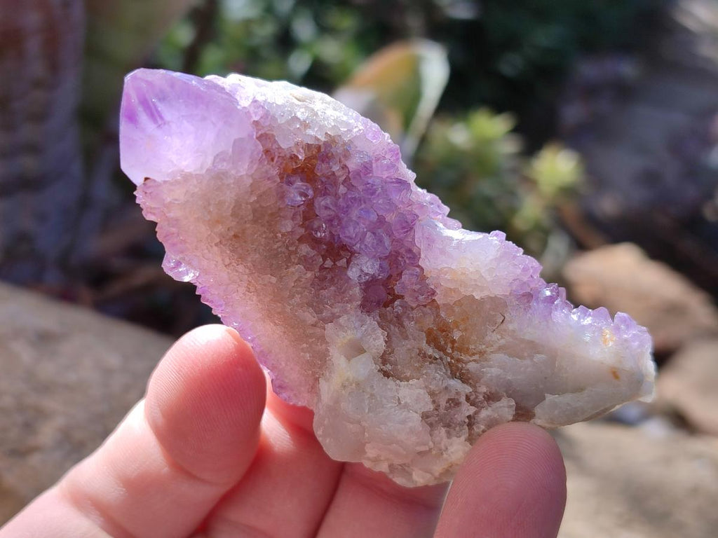 Natural Spirit Amethyst and Spirit Ametrine Clusters x 16 From Boekenhouthoek, South Africa - Toprock Gemstones and Minerals 