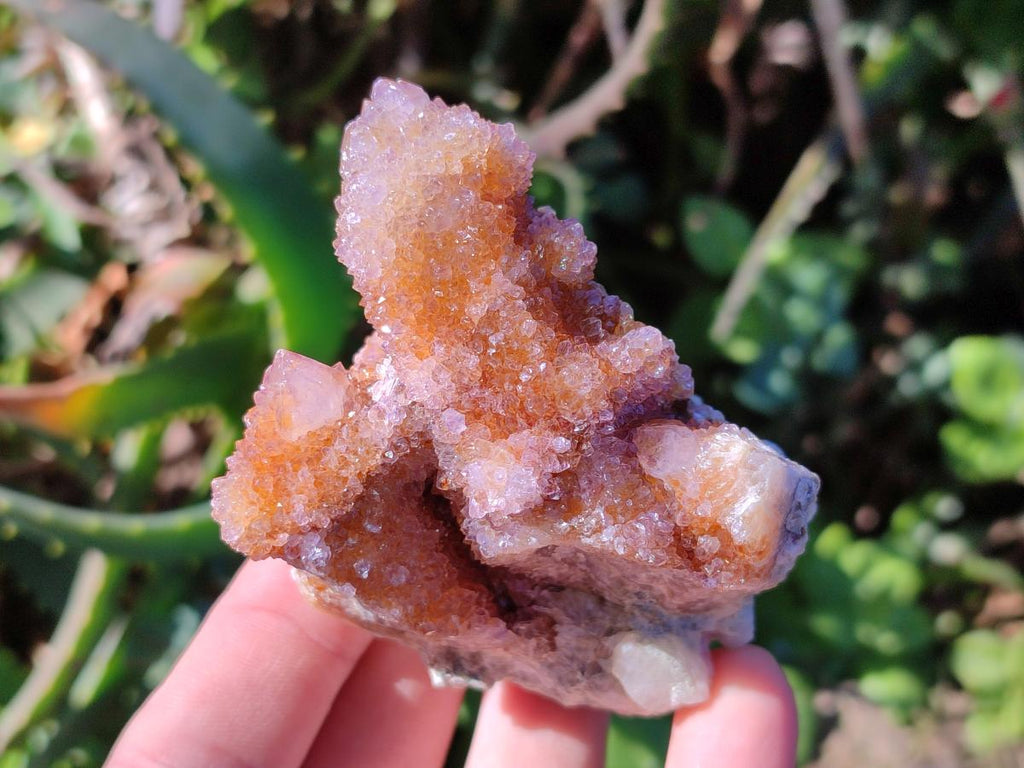 Natural Spirit Amethyst and Spirit Ametrine Clusters x 16 From Boekenhouthoek, South Africa - Toprock Gemstones and Minerals 