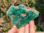 Polished On One Side Mtorolite Chrysoprase Slices x 12 From Mutorashanga, Zimbabwe - Toprock Gemstones and Minerals 